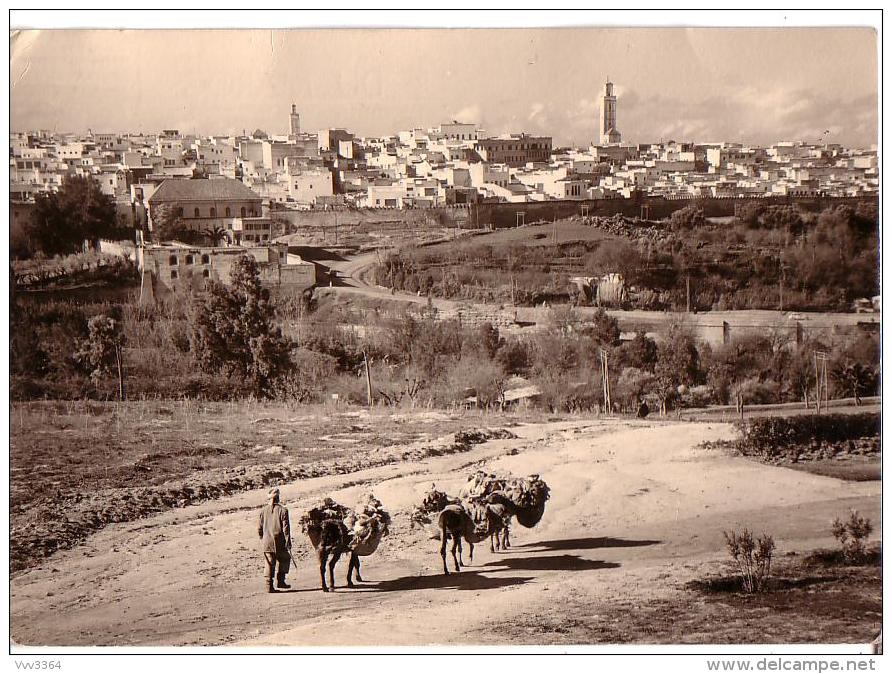 Meknès, la Ville Ancienne et les 2 Mellahs - 2 - Page 30 770_001