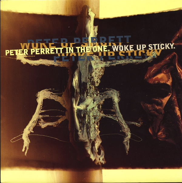 perrett - Peter Perrett Peter-perrett-in-the-one-woke-up-sticky-demon