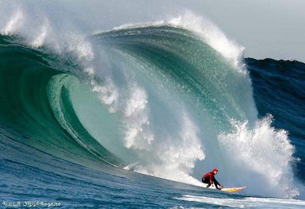 صور غريبة و خطيرة Ridingthewaves