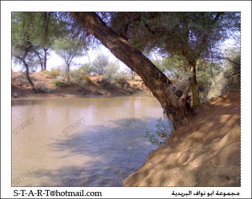 صور كشتات لاتفوتكم F2a944c0f2