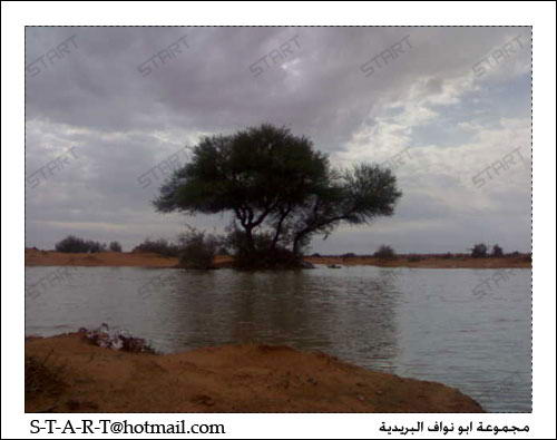 صور كشتات لاتفوتكم Fa664953c9