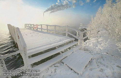 غ ـرائــــب ع ـجيـــبه.. Winter2