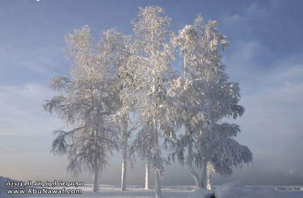 غ ـرائــــب ع ـجيـــبه.. Winter3