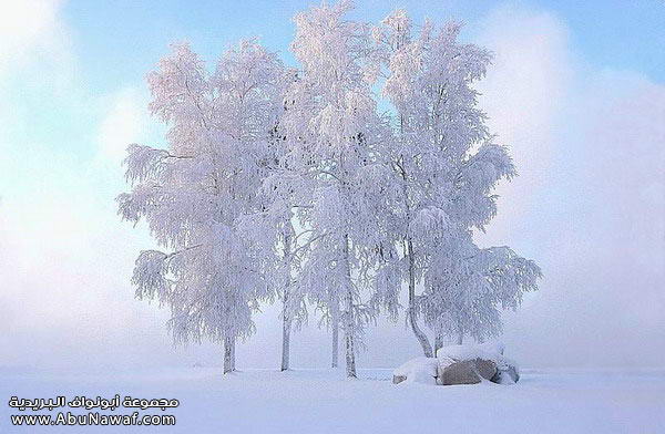 غ ـرائــــب ع ـجيـــبه.. Winter6