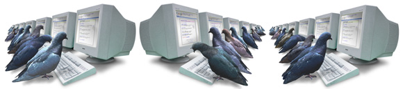 مشاغبات وخدع Google Pigeon_system