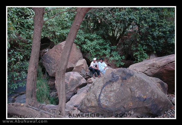 صور خاصة جدا لغابات الحبلة Mk408_aliabha61