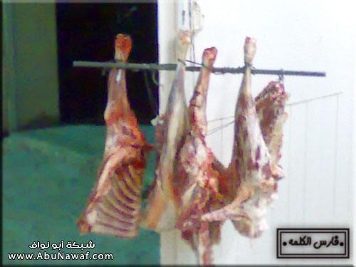 منـــدى لــحـــم !! على كيف كيفك !! بصورر !! B340ed8c3e