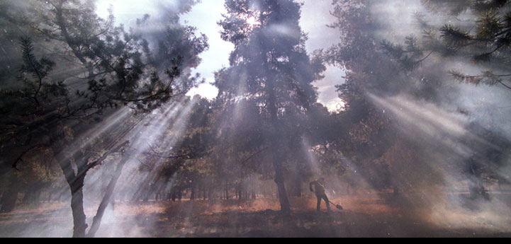 أقوى الصور العالمية لعام 2002 Nature_splash