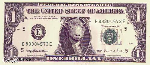 خرفان متنكرة Sheep2