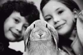 صور مضحكه Happybunny