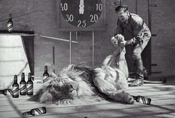 صور مضحكه Pissed-lion-big