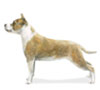 گونه های مختلف سگ تریر - Terrier Breeds Sm_artwork