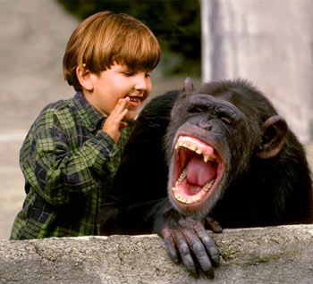 Risate Bestiali Scimmia