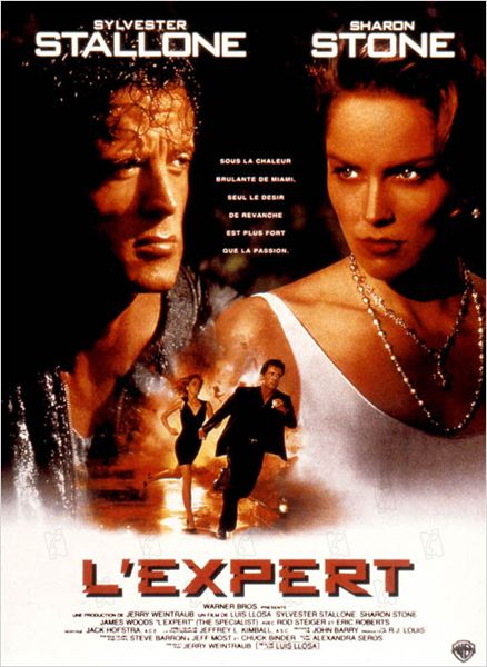 L'Expert (Action) 18866885