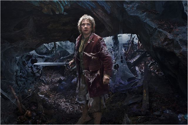 Le hobbit : La désolation de Smaug 20455615