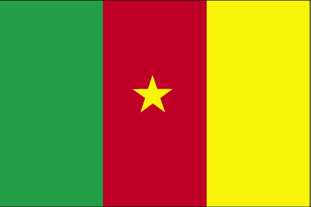 تغطية كأس أمم افريقيا على منتدى فرجيوة أنغولا 2010 - صفحة 9 Cameroon-flag