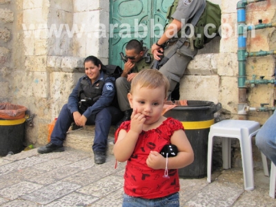 صور مؤثرة للطفلة الفلسطينية تالا قرش بعد طردها من منزلها 2571211881