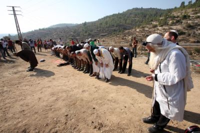مسلمون ومسيحيون ويهود يؤدون صلاة مشتركة للاستسقاء بدعوة من محافظ بيت لحم 3868478713