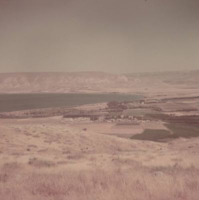 صور ملونة نادرة لقرية الطنطورة بعد المجرزة عام 1948 38850558110