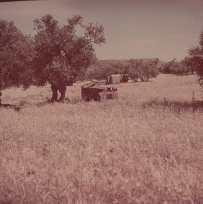 صور ملونة نادرة لقرية الطنطورة بعد المجرزة عام 1948 3885055815