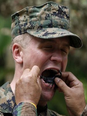 بالصور.. الجنود الأمريكيون يأكلون الأفاعي ويشربون دم الثعبان! 3893601846