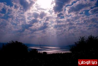صور فنية رائعة لـ"نخل بيسان وبحيرة طبرية في سنة 2012"  3909798050