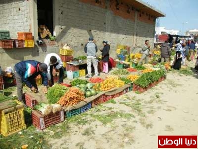 جمال "تونس" بعد الثورة 3909848740