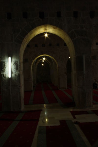 شاهد بالصور المسجد الاقصى من الداخل والخارج ،قبة الصخرة والمصلين فيه‎ 3909870307
