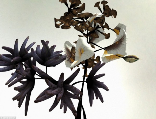 فنان مشلول يصمم " أزهار رقمية " 3910037062