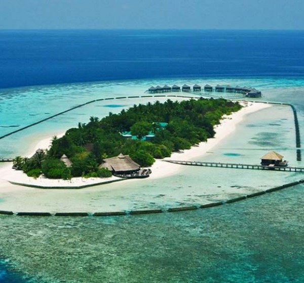 جزر المالديف 3910212900