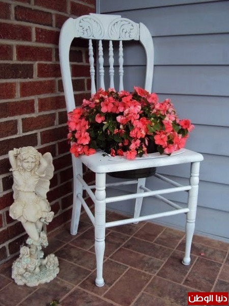 استخدام الكراسي القديمة لزراعة الازهار فيها 3910528254