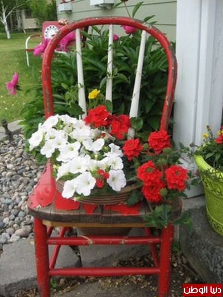 استخدام الكراسي القديمة لزراعة الازهار فيها 3910528259