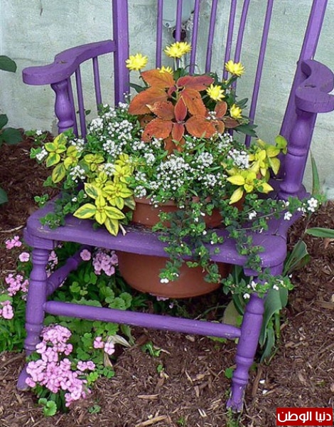 استخدام الكراسي القديمة لزراعة الازهار فيها 3910528262