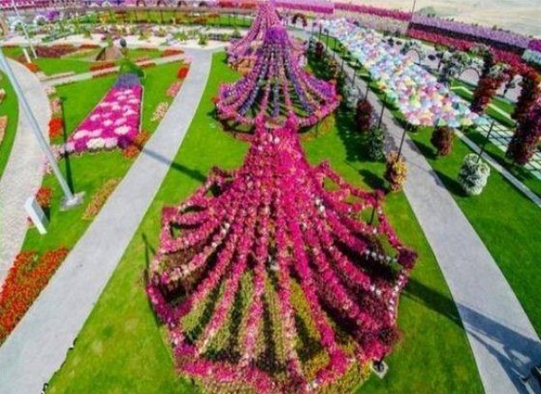 حدائق الورد في هولندا 3910612251