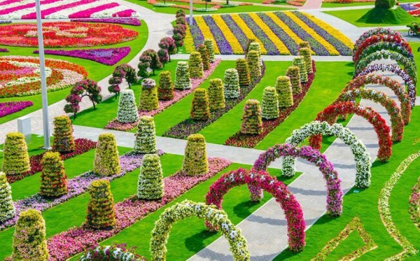حدائق الورد في هولندا 3910612252