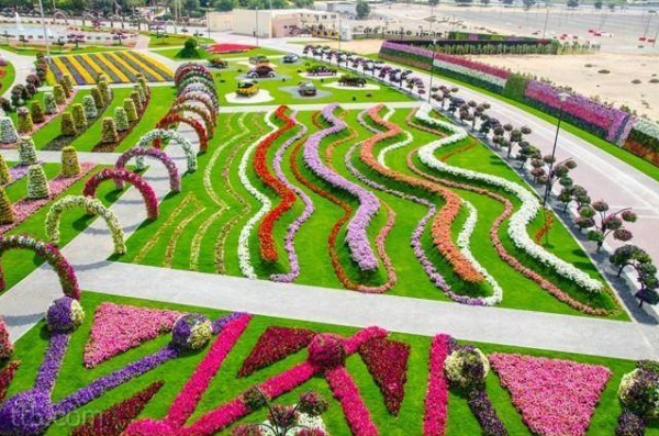 حدائق الورد في هولندا 3910612253