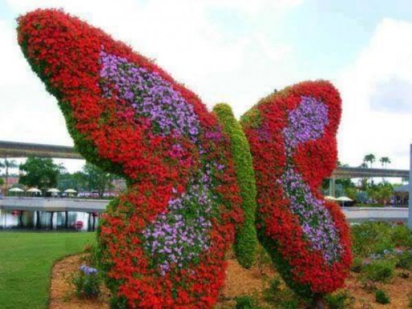 حدائق الورد في هولندا 3910612255