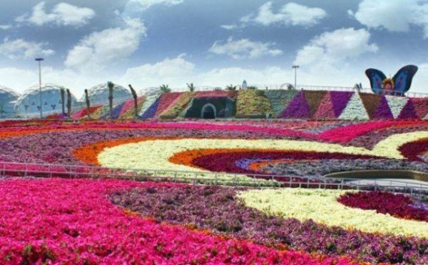 حدائق الورد في هولندا 3910612256