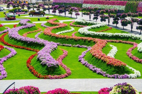 حدائق الورد في هولندا 3910612258