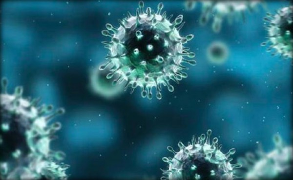 الطبيب المصرى مكتشف فيروس الكورونا : الفيروس لا يوجد له مصل او علاج ونسبة الوفيات عالية بين المصابين 9998460341