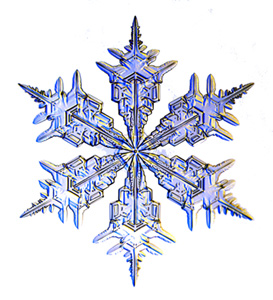 SnowFlakes Snowflake_300h