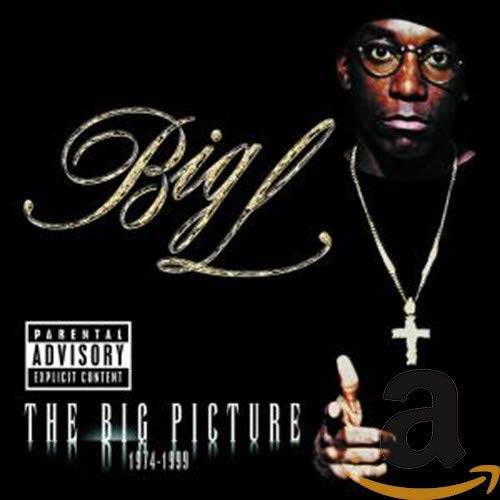 Big L - The Big Picture B000067CNU.01._SCLZZZZZZZ_