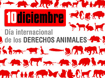 10 de Diciembre. Día Internacional por los Derechos de los Animales P07-75886