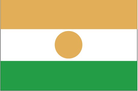 سجل حضورك ببلد من البلدان.. BNW-Flag-of-Niger-1