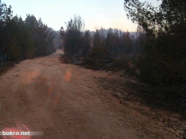 الحريق مستمر- مصرع 40 سجانا اسرائيليا واخلاء بلدات باكملها IMG_1745%20%28800x600%29