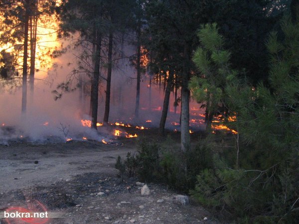 الحريق مستمر- مصرع 40 سجانا اسرائيليا واخلاء بلدات باكملها IMG_1751%20%28800x600%29
