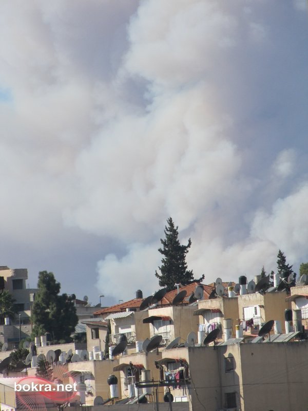 الحريق مستمر- مصرع 40 سجانا اسرائيليا واخلاء بلدات باكملها IMG_2309