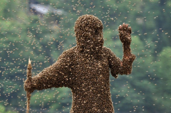 بالصور ..لا تجربها: مسابقة جذب النحل على الجسد 1