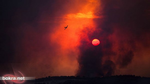  مجموعة من الصور من حرائق الكرمل  12