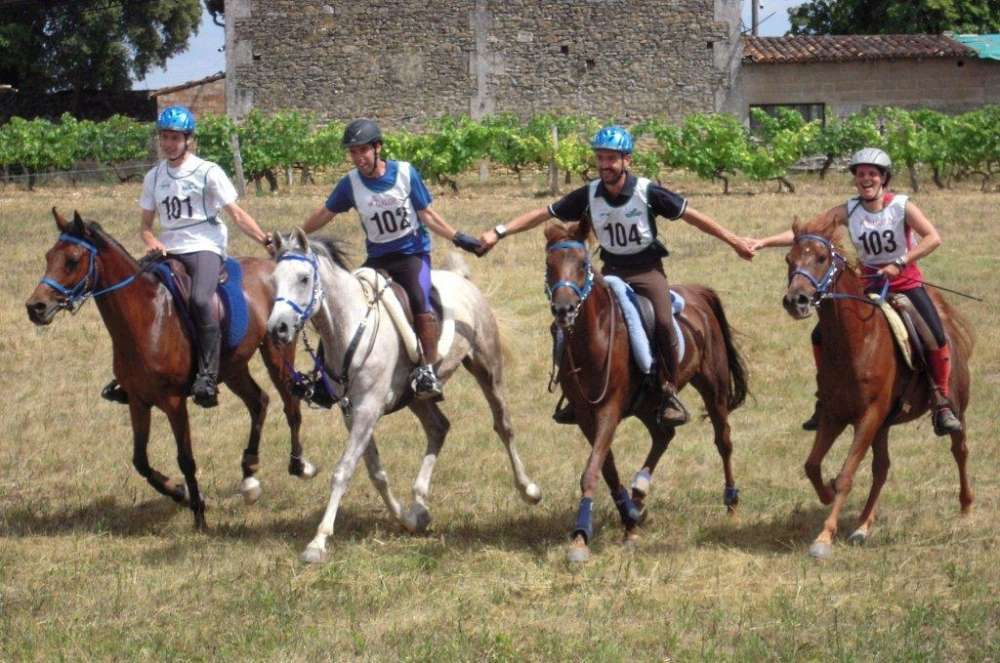 L'endurance Le-raid-d-endurance-equestre-reunit-80-cavaliers-a-saint-bri_282995_536x355p